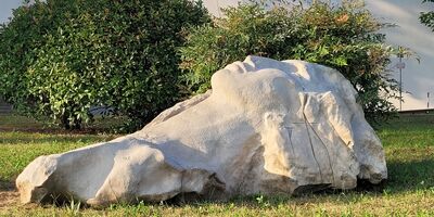 Itinerari nel Rojale