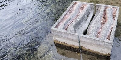 Itinerari nel Rojale