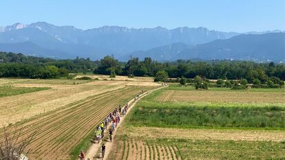 Itinerari nel Rojale