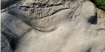 Itinerari nel Rojale