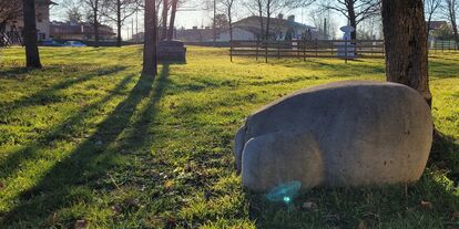 Itinerari nel Rojale