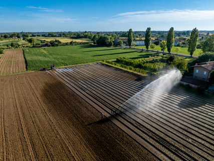 Itinerari nel Rojale