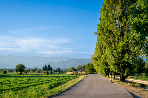 Itinerari nel Rojale